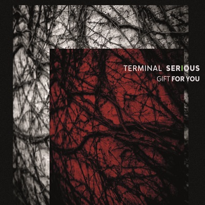 Videolink zu Terminal Serious mit dem Titel Nobody Sees Us